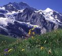 Юнгфрау и Матерхорн - най-атрактивните върхове на Швейцария