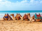 Нова Година 2026 в Шарм ел Шейх, Египет със самолет от София - 4 нощувки
