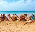 Нова Година 2026 в Шарм ел Шейх, Египет със самолет от София - 4 нощувки