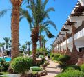 TURQUOISE BEACH HOTEL
