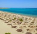 JAZ SOMA BEACH