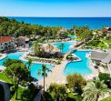 BARUT ARUM COLLECTION