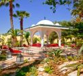SIMBA CLUB - Samira Club Standard